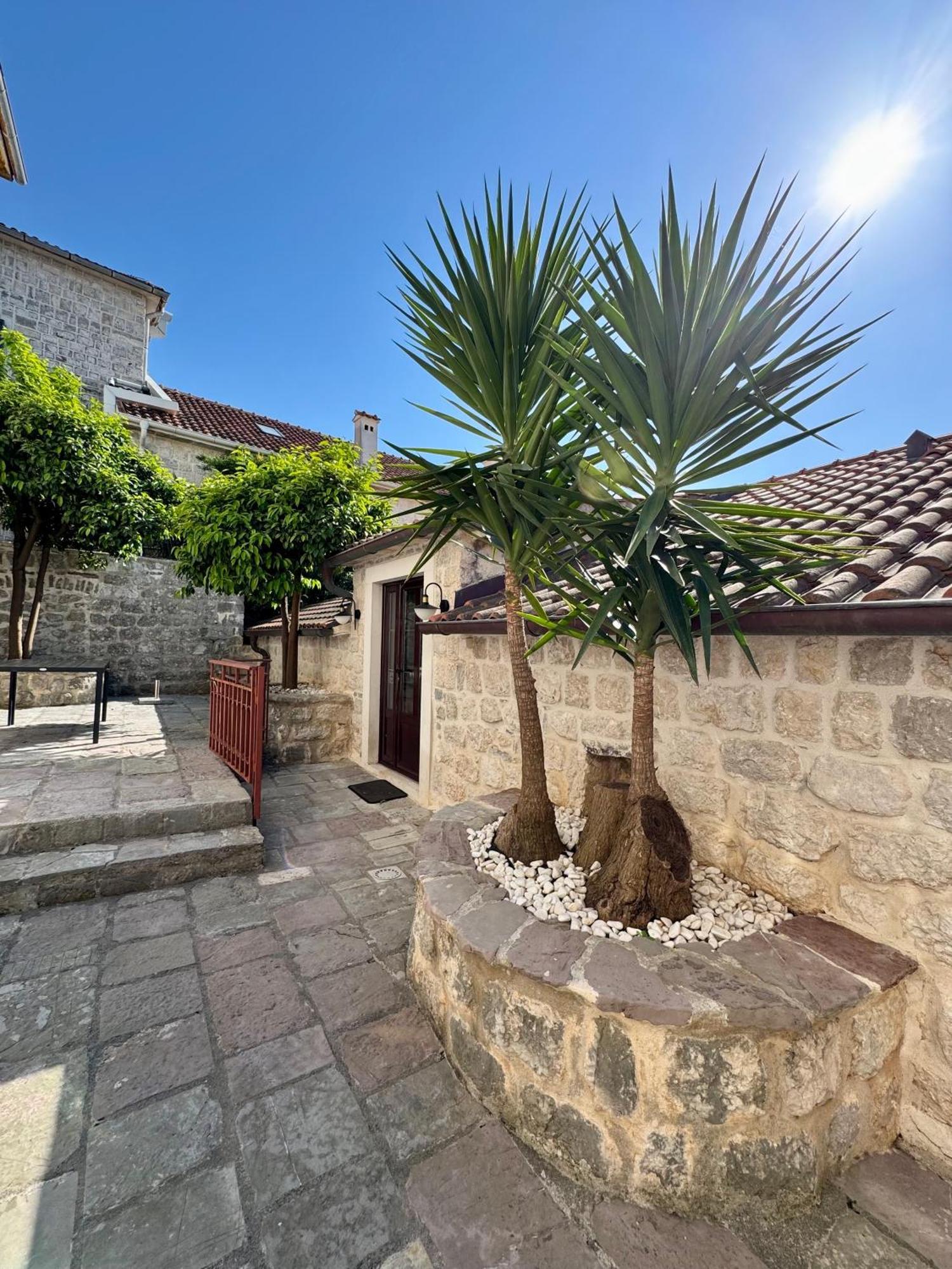 Apartments Radonicic Kotor Luaran gambar